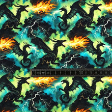 French Terry Digitaldruck Drachengewitter