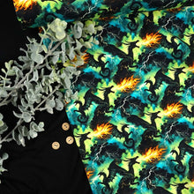 French Terry Digitaldruck Drachengewitter