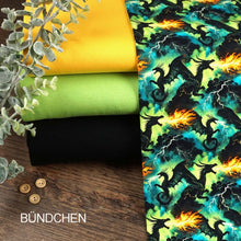 French Terry Digitaldruck Drachengewitter