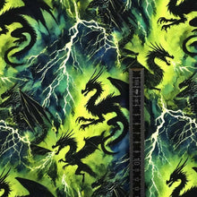 French Terry Digitaldruck Drachen