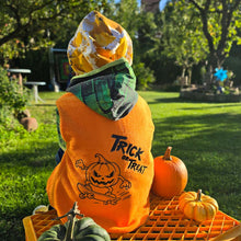 Plotter -  Datei Cool Pumpkin