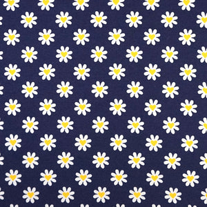 Jersey Gänseblümchen