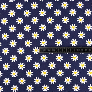 Jersey Gänseblümchen