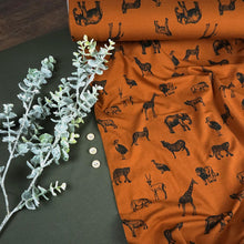 Jersey Tierwelt